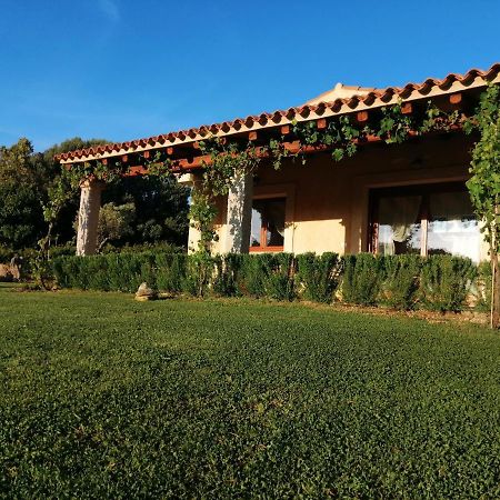 Agriturismo Fioredda 아글리엔투 외부 사진
