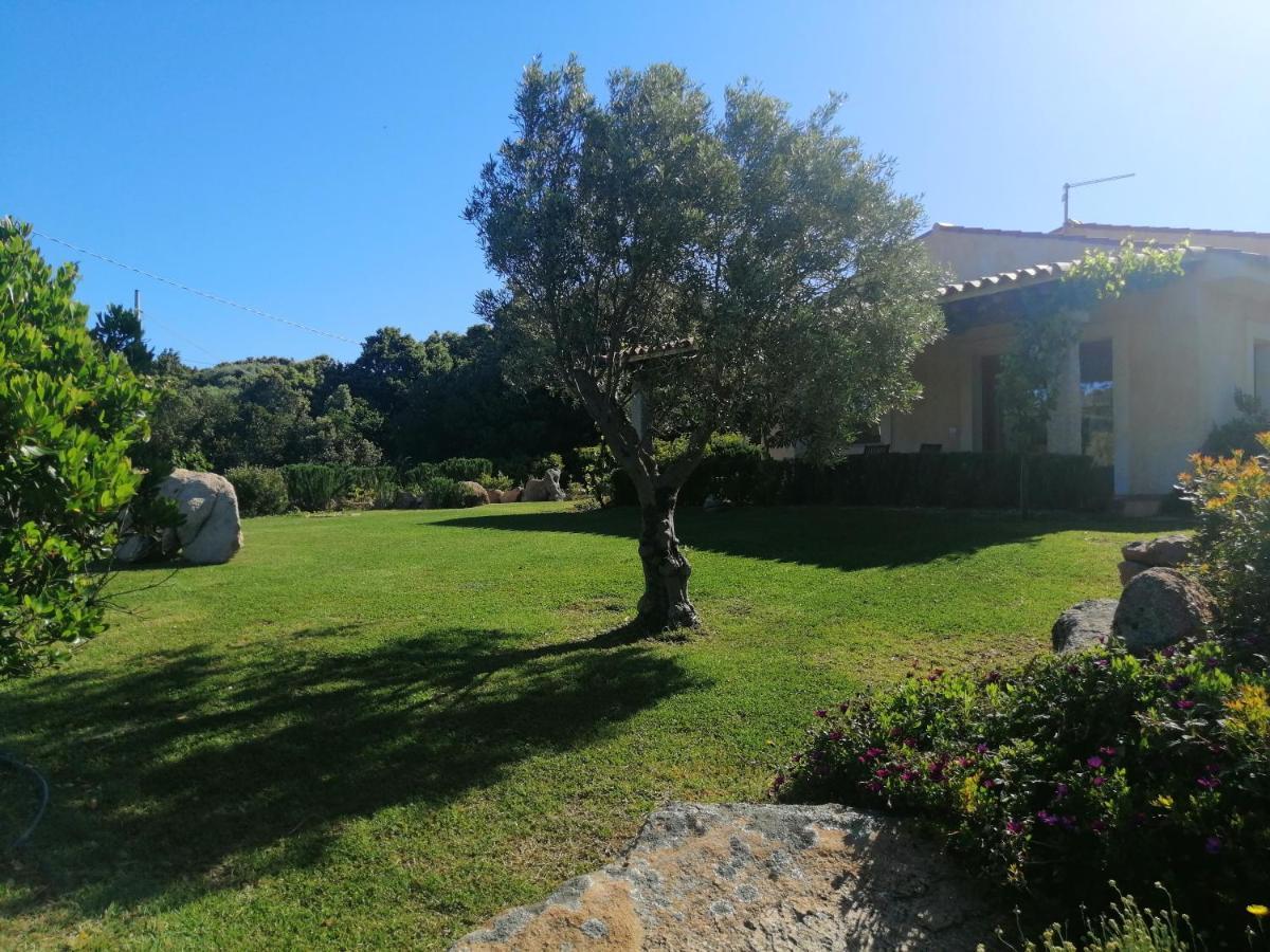 Agriturismo Fioredda 아글리엔투 외부 사진